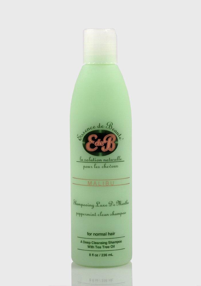 Peppermint Clean Shampooing